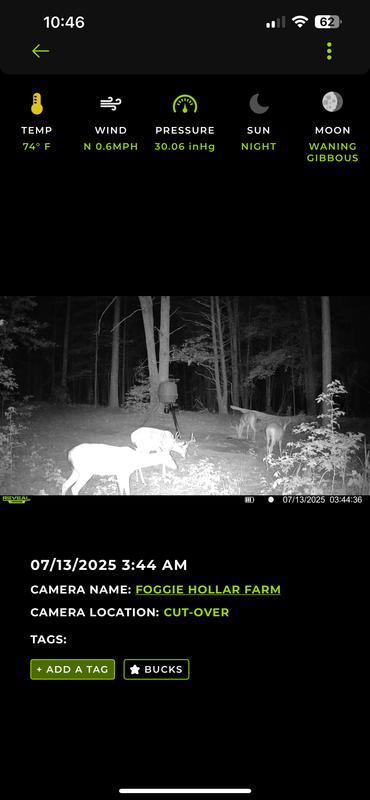 Photo - commentaire&nbsp;1.