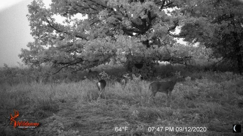 Photo - commentaire&nbsp;6.