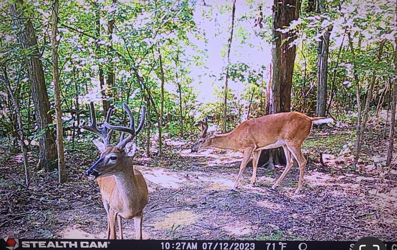 Photo - commentaire&nbsp;2.