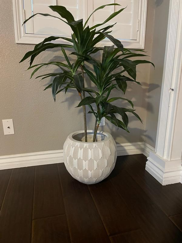 Customer carousel item 3.