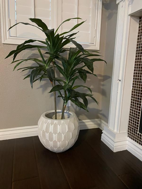 Customer carousel item 4.