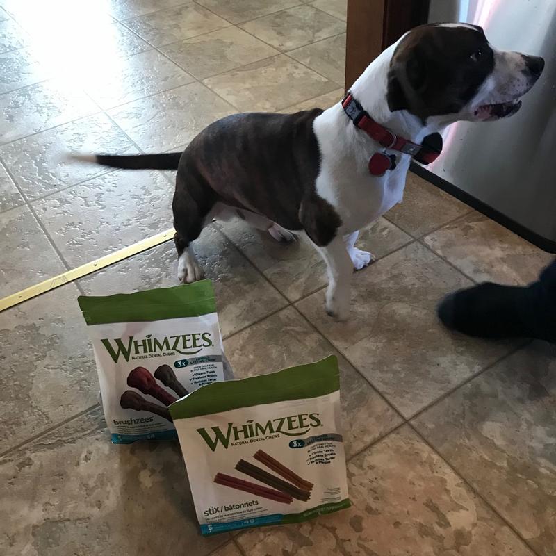 Dental chews for outlet diabetic dogs