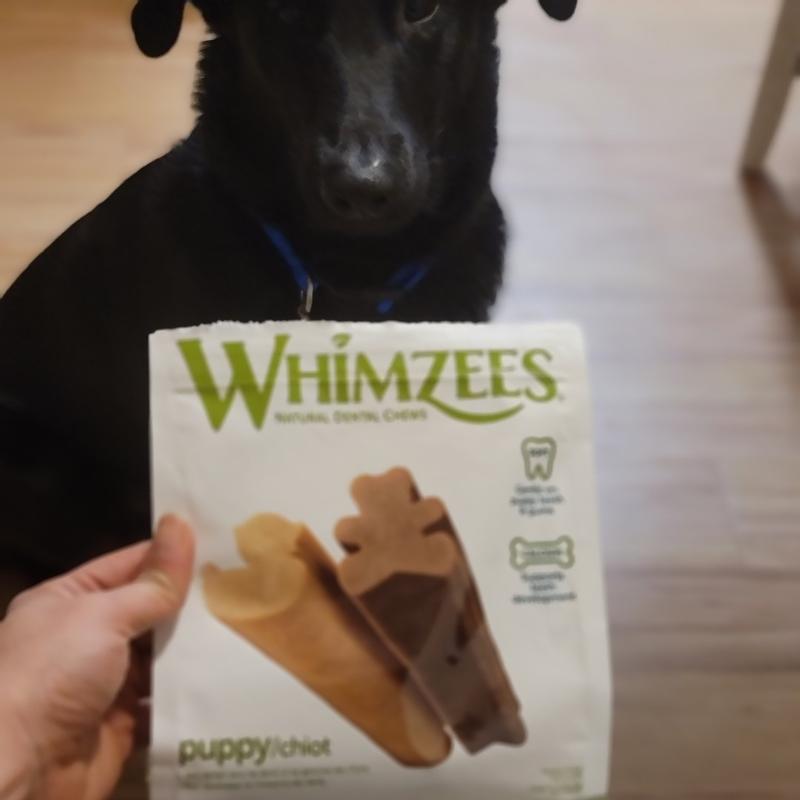 Whimzees review outlet