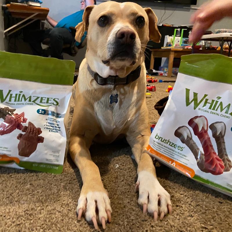 Whimzees dog treats clearance review