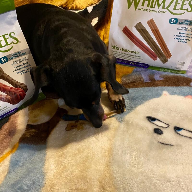 Brushzees Dental Treat for Dogs WHIMZEES