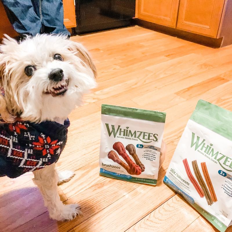 Stix Dental Treat for Dogs - WHIMZEES