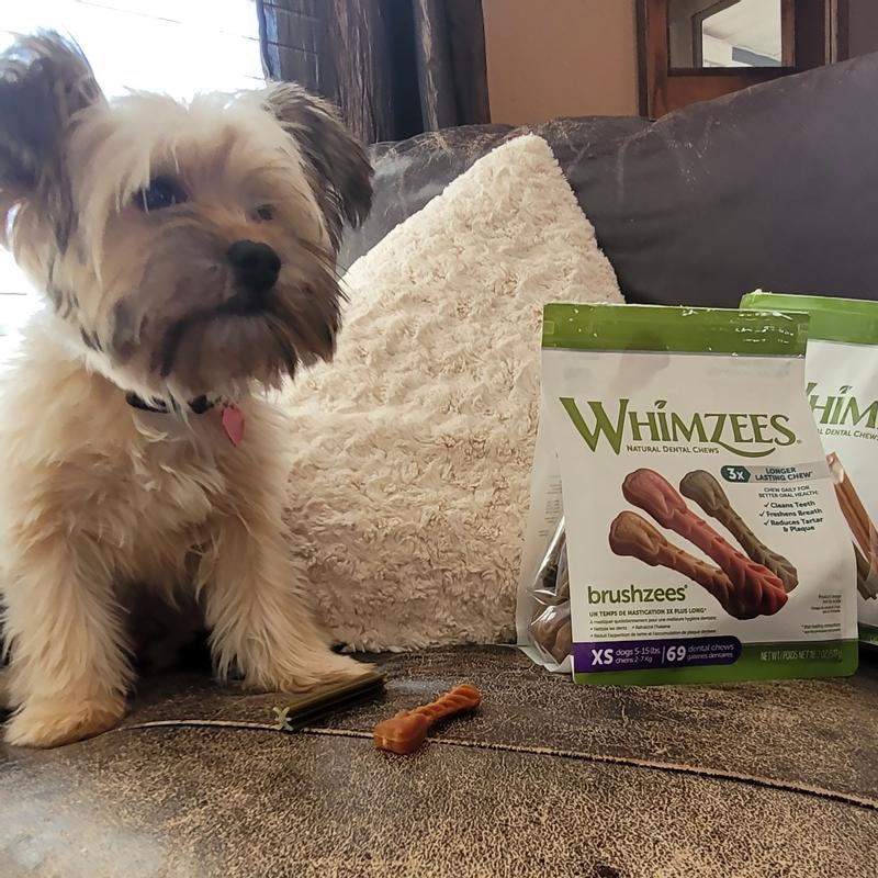 Whimzees 14.8 oz Medium Natural Grain Free Dog Dental Chews - WHZ317