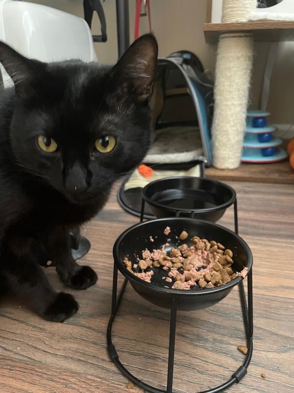 Photo - commentaire&nbsp;1.