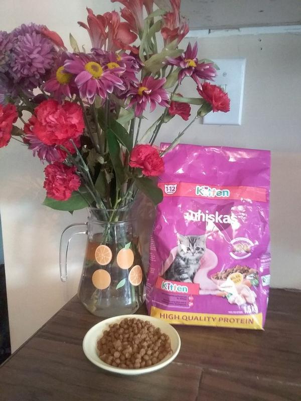 Photo - commentaire&nbsp;7.