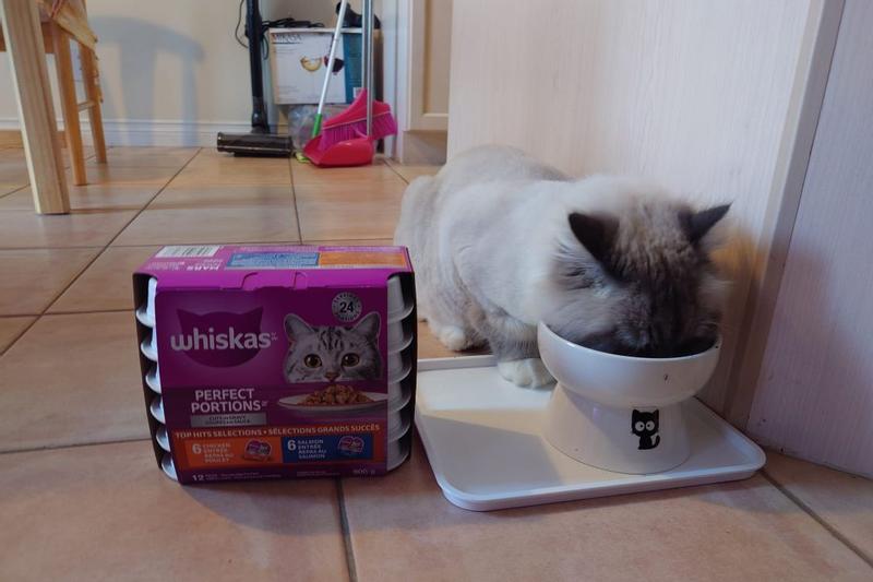 Photo - commentaire&nbsp;5.