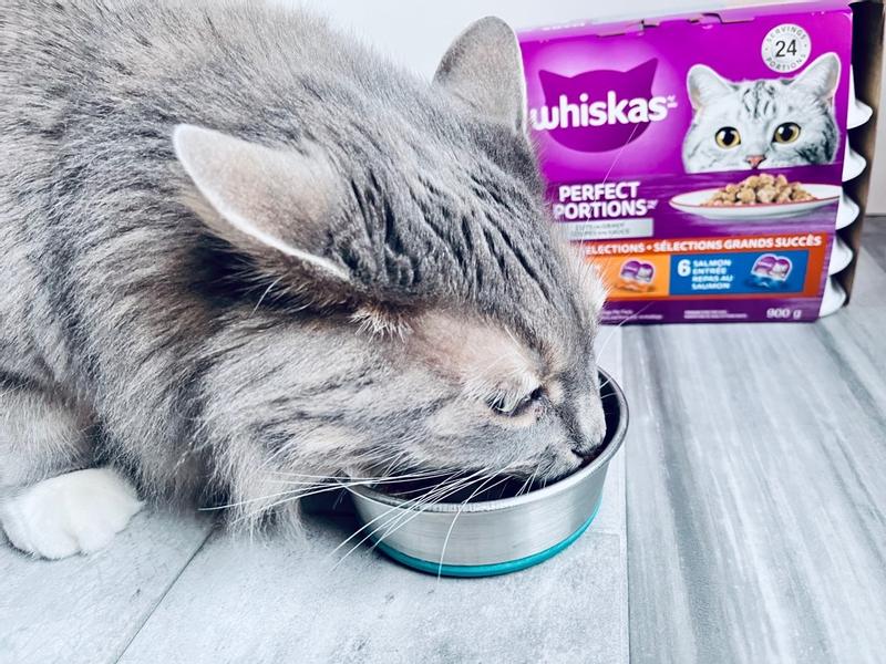 Photo - commentaire&nbsp;8.