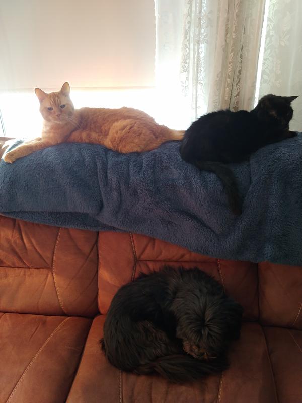 This photo taken 2 weeks ago. :)