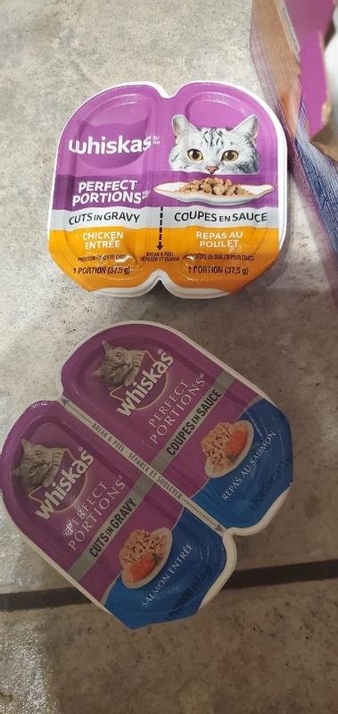 Photo - commentaire&nbsp;2.