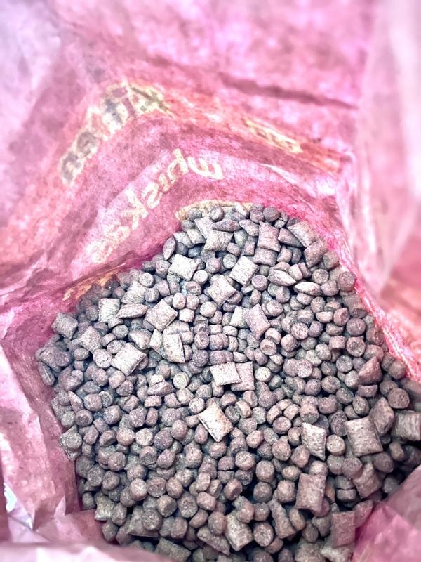 Photo - commentaire&nbsp;5.