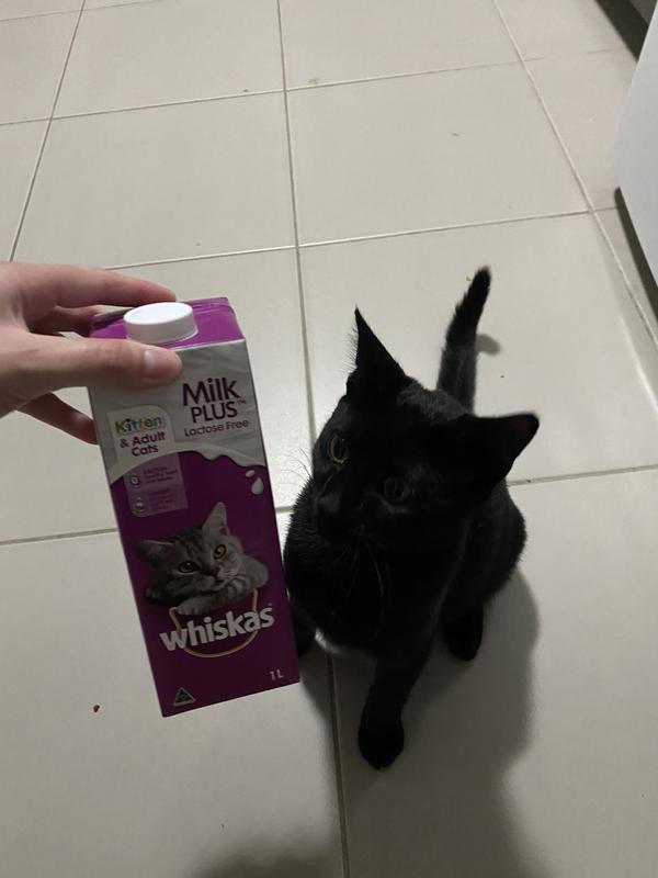 A way to a toms heart