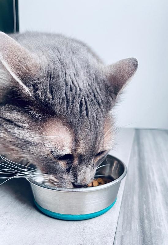 Photo - commentaire&nbsp;4.