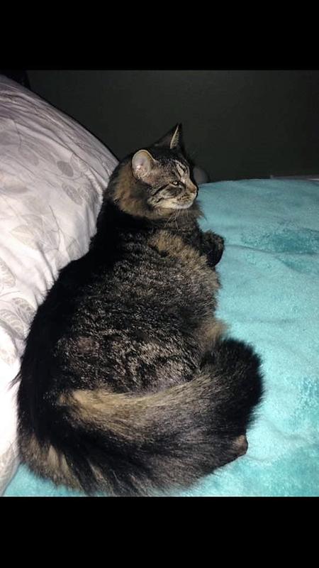 Happy Hairy Smokey :)