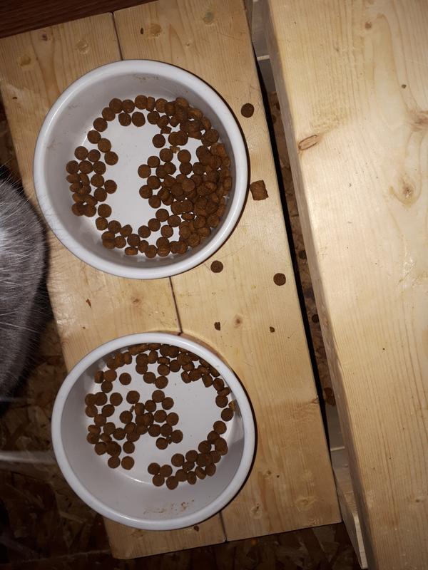 All other bits are eaten with the exception of the new round/flat bits.