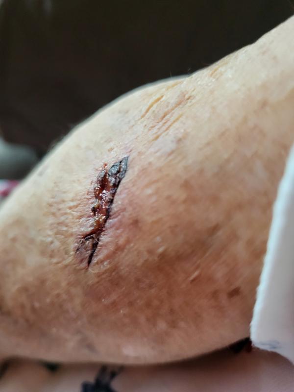 Customer photo 1 of 1. Click to open full size image.