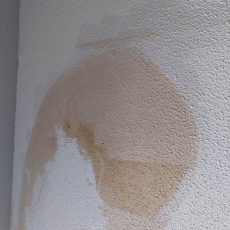 Customer photo 5 of 6. Click to open full size image.