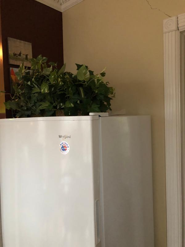 Customer photo 4 of 4. Click to open full size image.