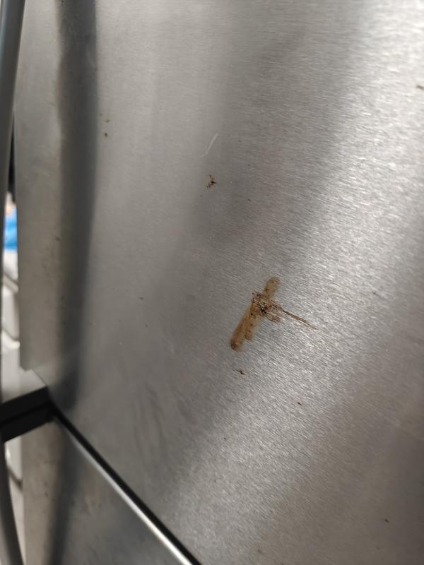 Customer photo 2 of 3. Click to open full size image.