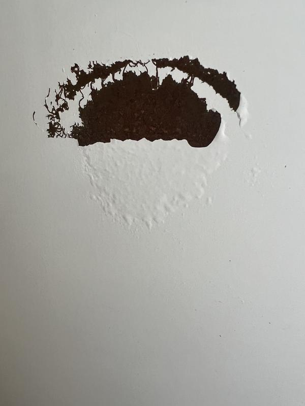 Customer photo 1 of 3. Click to open full size image.