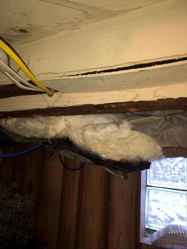 Customer photo 5 of 5. Click to open full size image.