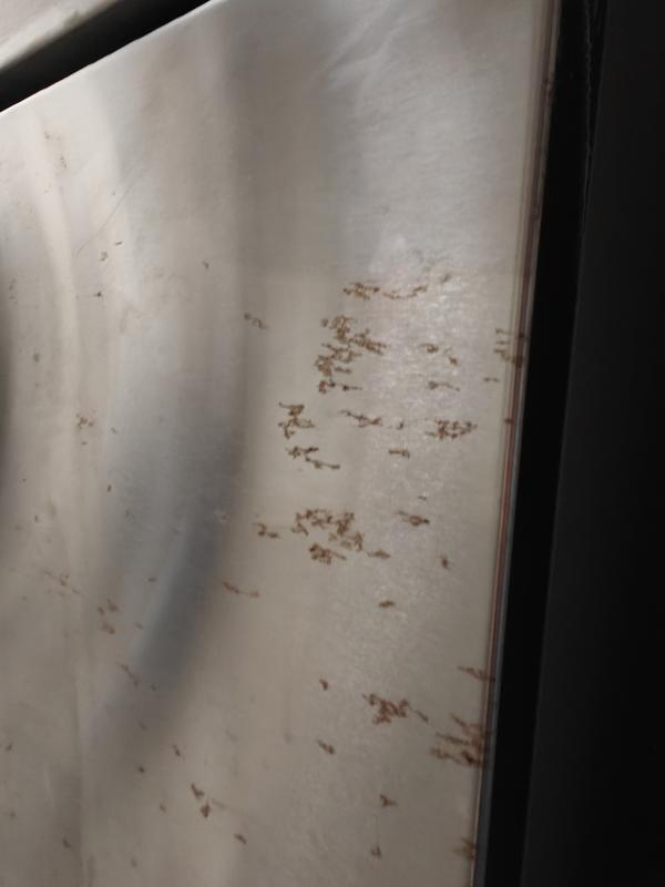 Customer photo 3 of 3. Click to open full size image.