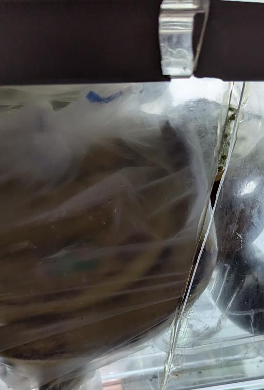 Customer photo 2 of 6. Click to open full size image.