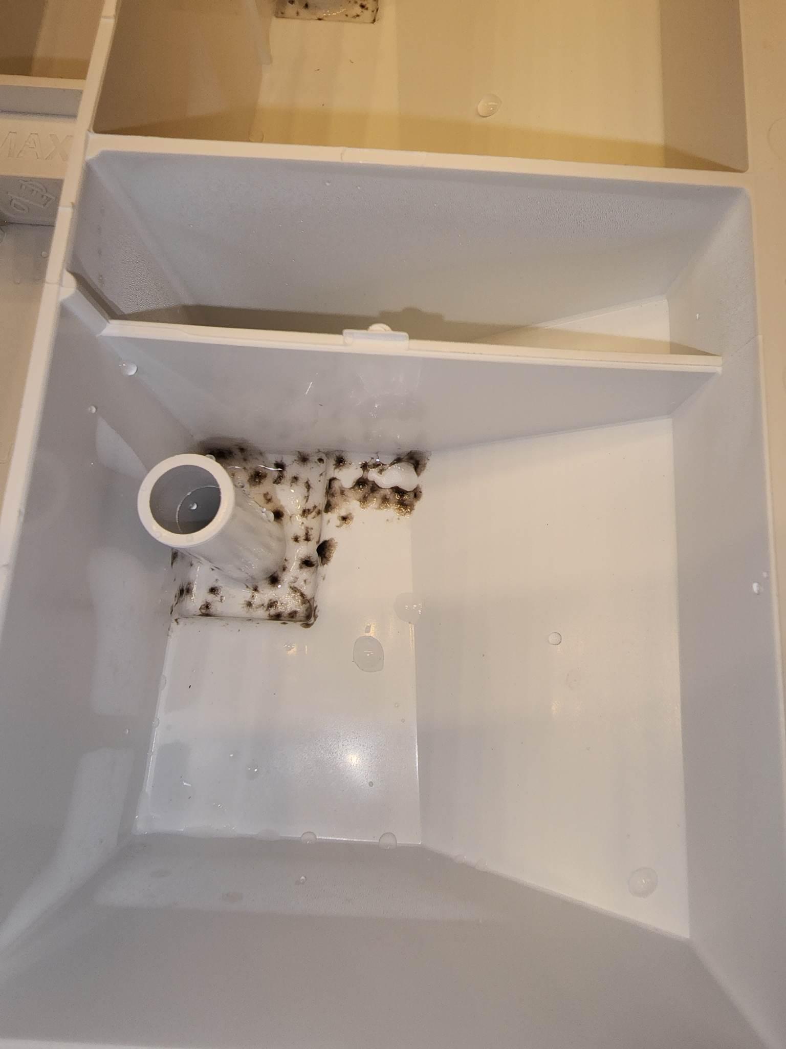 Image 3 of 5