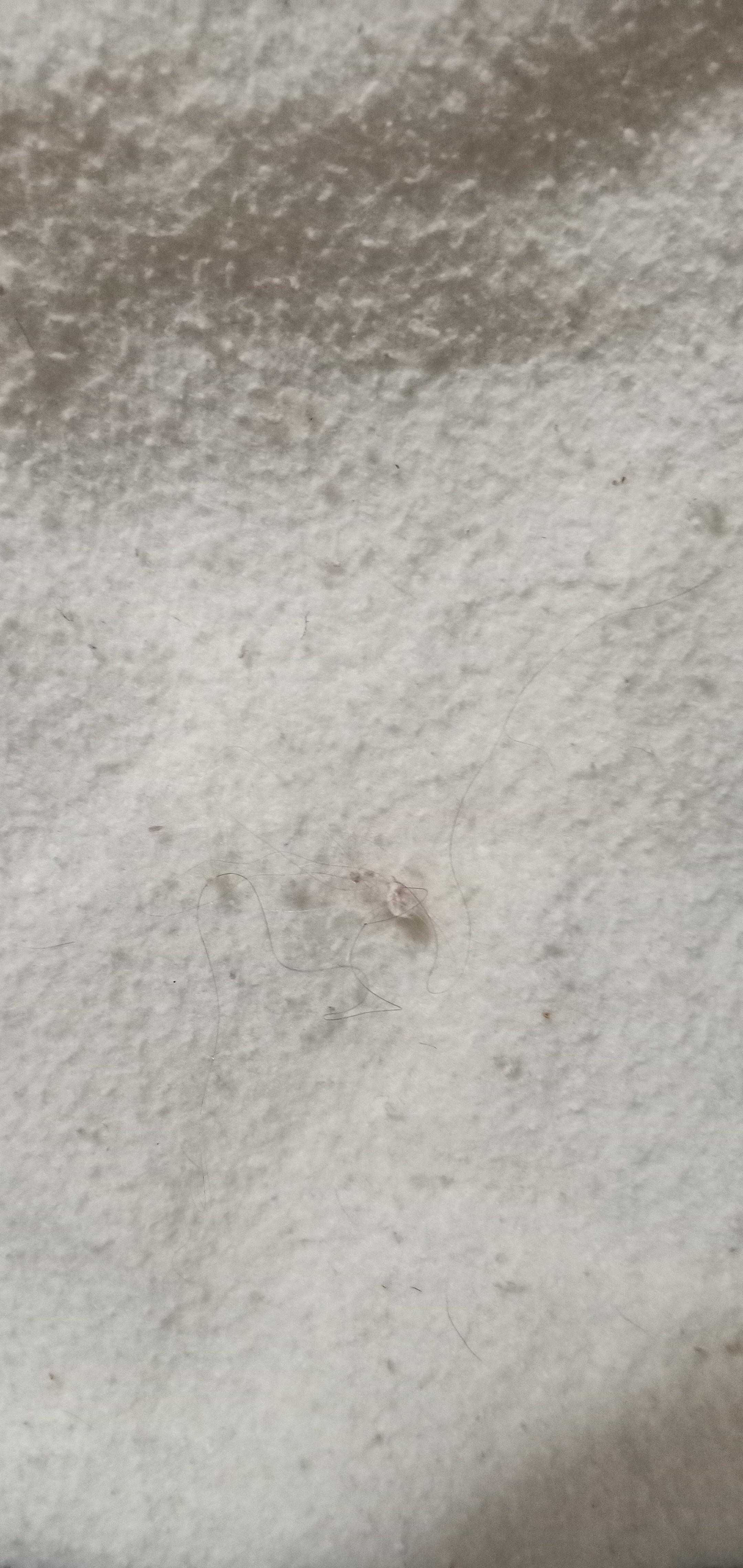 Image 2 of 2