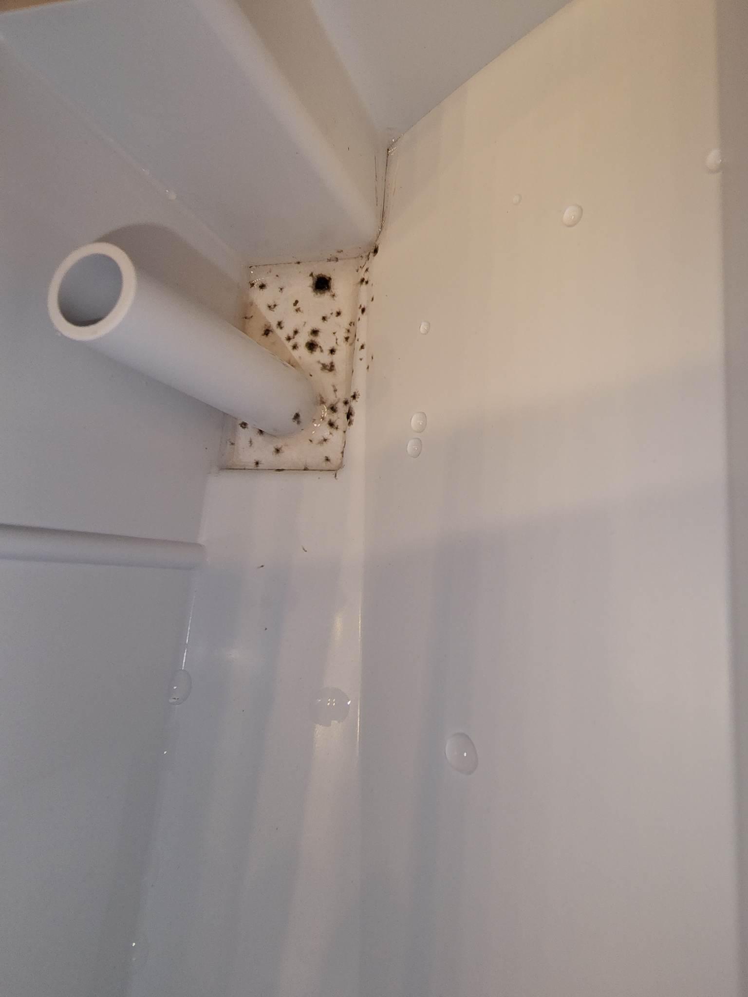 Image 4 of 5