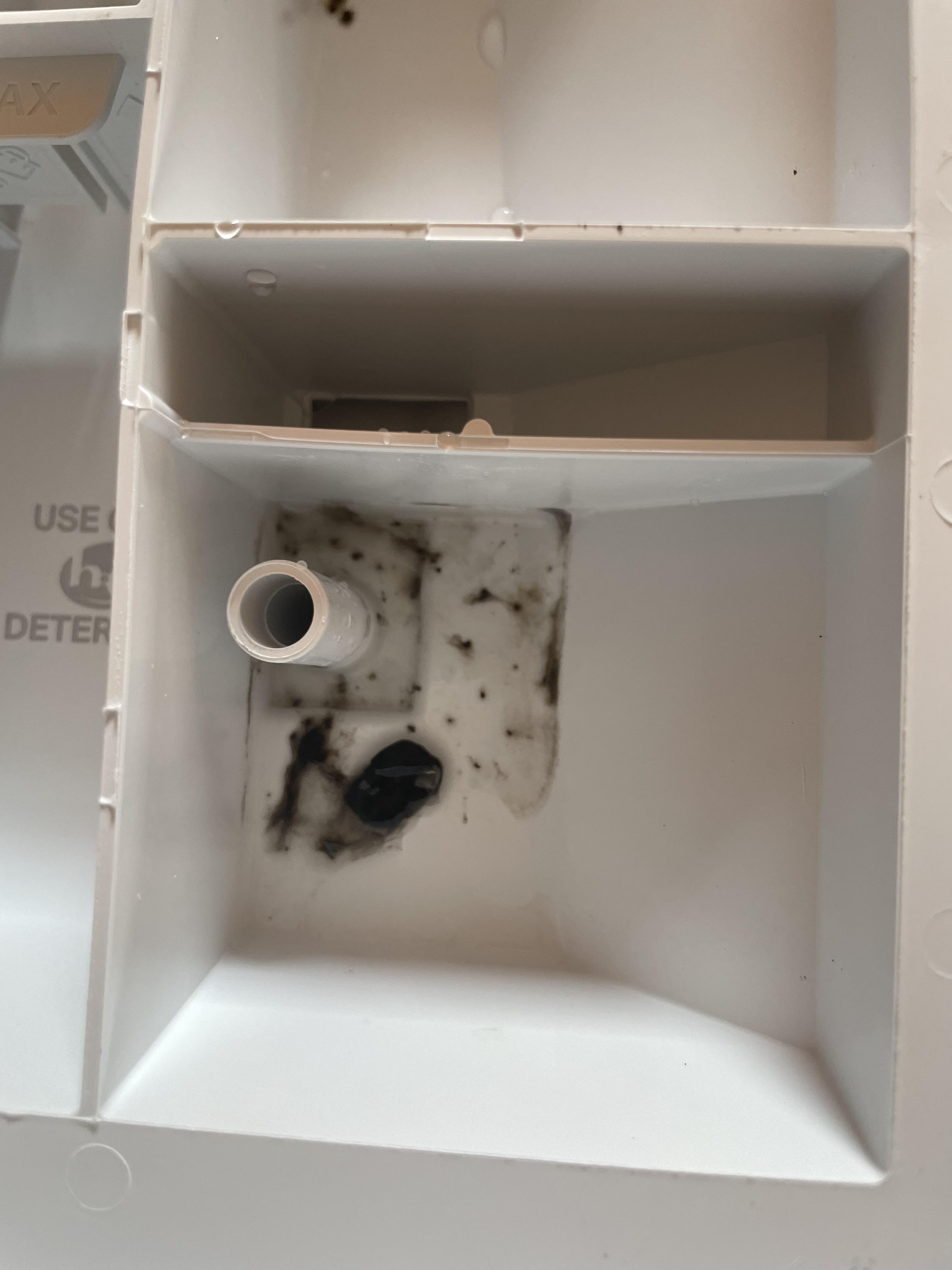 Image 2 of 3