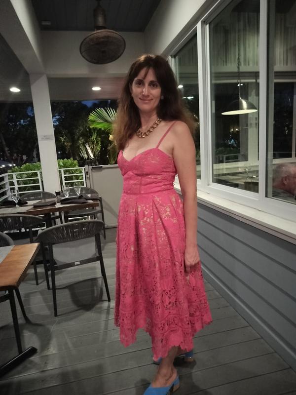 chinese dress ladies Alanna Pink Lace Maxi Dress - US 18