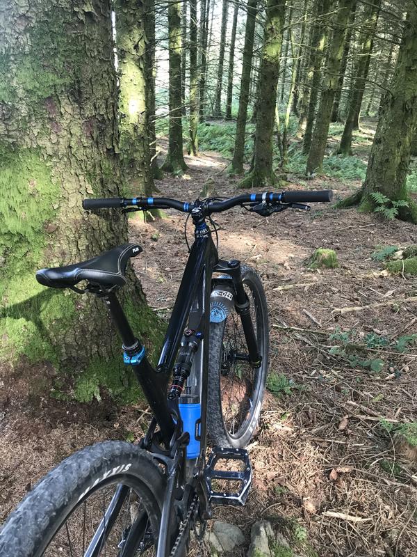 ベビーグッズも大集合ベビーグッズも大集合Horizon V2 アロイライザー