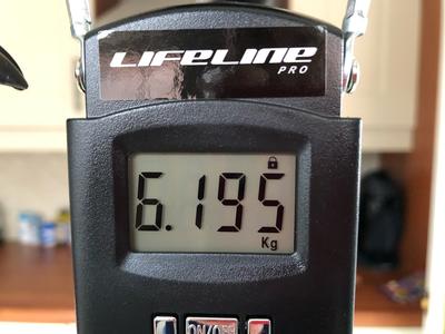 LifeLine Pro Digital Hanging Scale