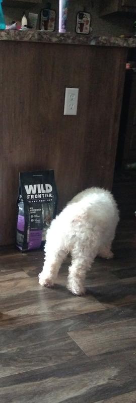 wild frontier dog food puppy