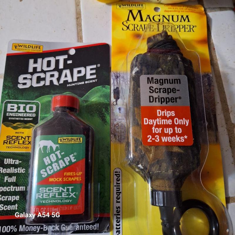 Photo - commentaire 2.