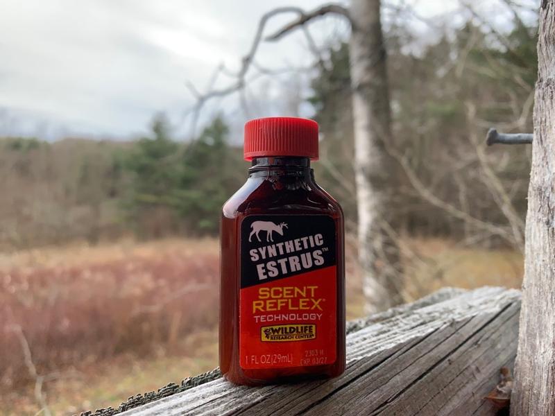 Photo - commentaire&nbsp;2.