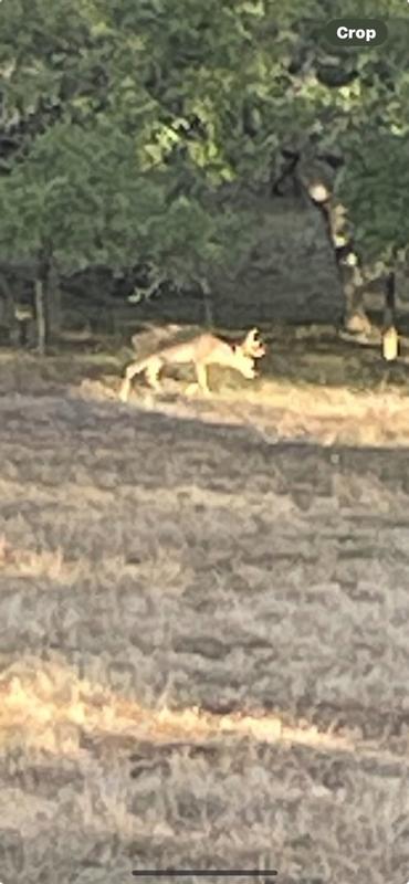 Photo - commentaire&nbsp;4.