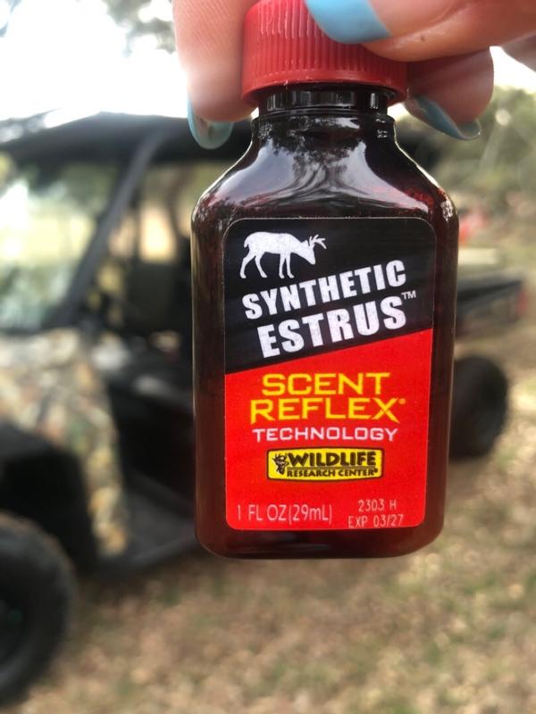 Photo - commentaire&nbsp;6.