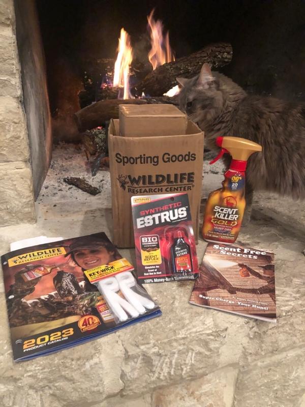 Photo - commentaire&nbsp;7.