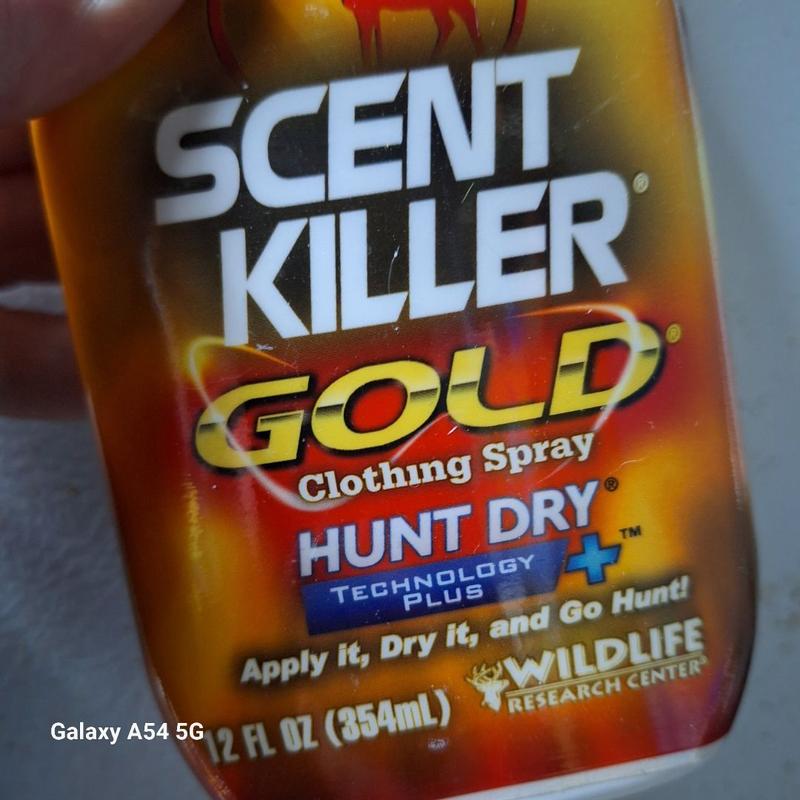 Photo - commentaire 1.