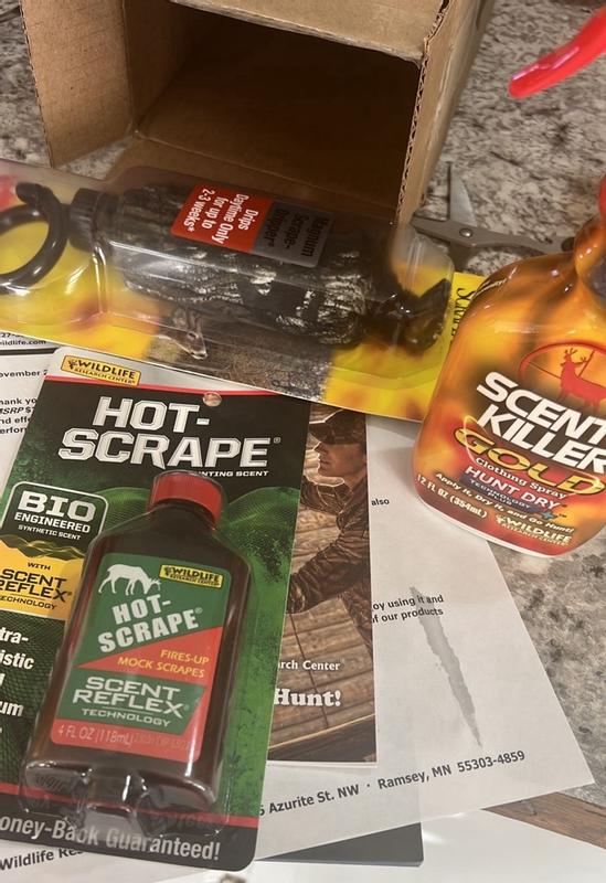 Photo - commentaire 8.