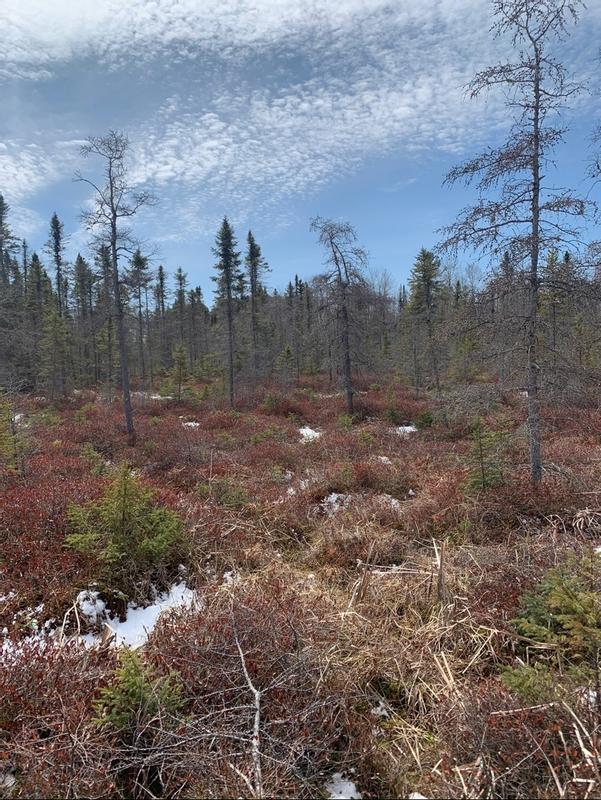 Photo - commentaire 7.