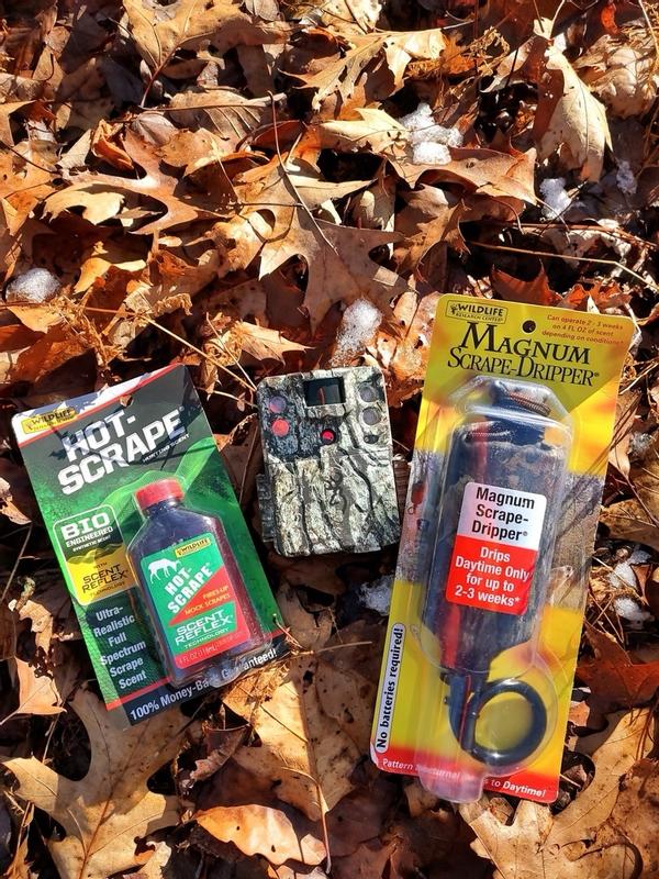 Photo - commentaire 6.