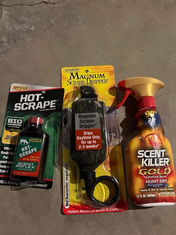 Photo - commentaire 4.