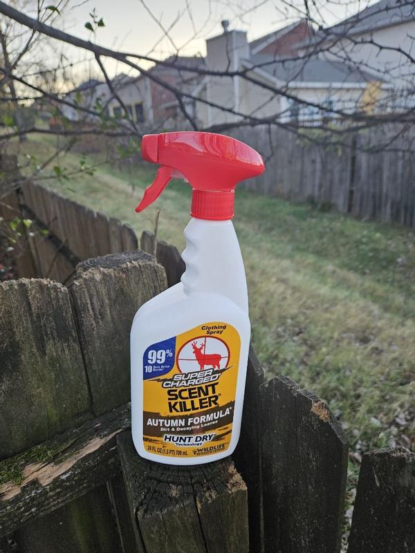 Photo - commentaire&nbsp;2.