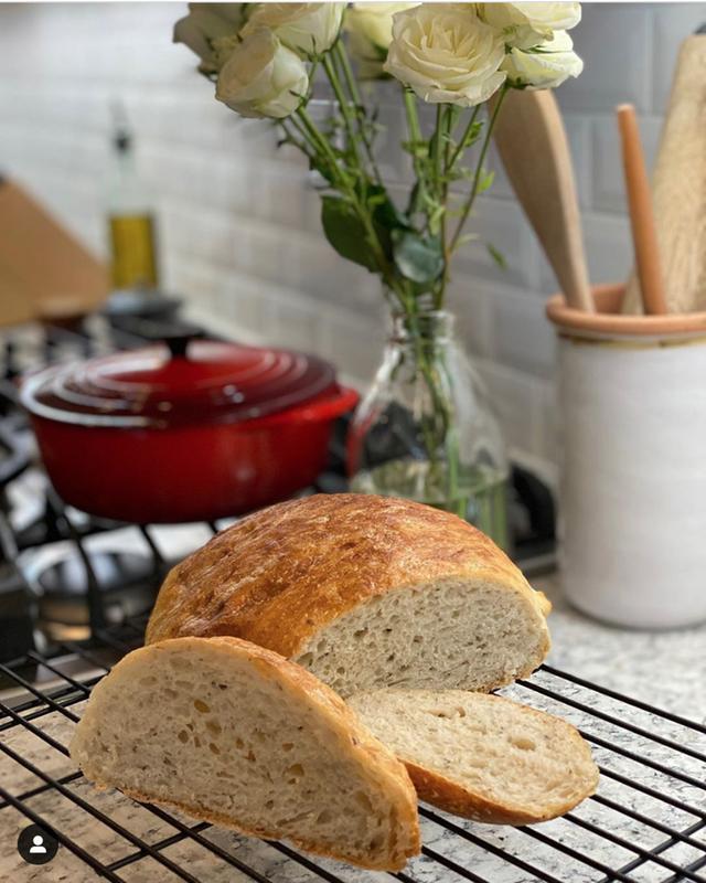 Harry's Whole Grain No Knead Dutch Oven Bread Recipe 